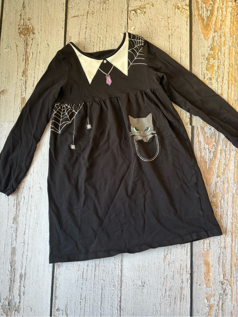H&M Black Dress with Cat Pocket and Spiderweb Accent